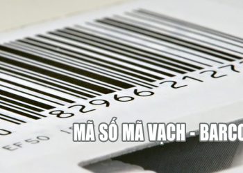 Thủ tục đăng ký mã vạch nhanh chóng tại Cục quản lý chất lượng