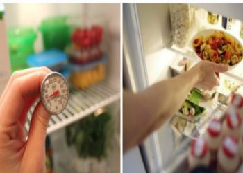 Cách để thức ăn trong tủ lạnh không biến thành ‘thủ phạm’ gây ung thư