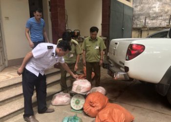 Thu gom mỡ lợn đã bốc mùi hôi thối về thành phố Lạng Sơn bán kiếm lời