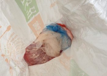 Lòng lợn sống đã bốc mùi hôi thối vẫn sơ chế để bán ra thị trường kiếm lời