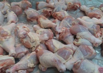 Xử phạt 120 triệu đồng đối với doanh nghiệp nhập lậu hơn 2,2 tấn đùi gà