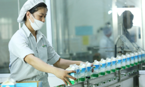 Sữa Mộc Châu tăng lãi 40% sau khi ‘về một nhà’ với Vinamilk