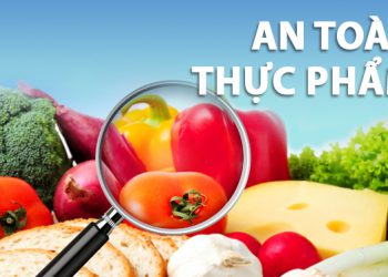 An toàn vệ sinh thực phẩm là gì?