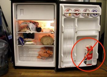 CÁC CÁCH BẢO QUẢN HIỆU QUẢ ĐỂ THỰC PHẨM TƯƠI LÂU HƠN