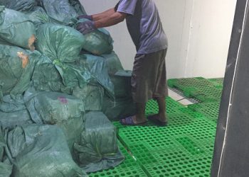 Kiểm tra đột xuất cơ sở kinh doanh thực phẩm không phép