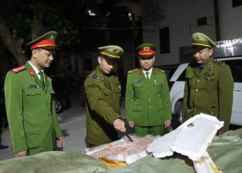 Bắt hơn 2 tấn nầm lợn bốc mùi suýt tuồn ra thị trường