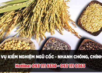 Dịch vụ kiểm nghiệm ngũ cốc nhanh chóng, chính xác