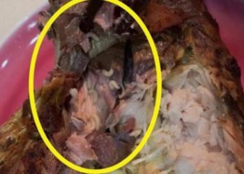 Thực phẩm sạch CleverFood bán cá kho có giòi: Kết luận từ cơ quan quản lý