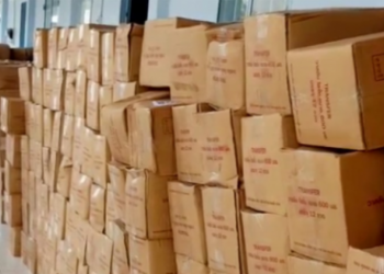 Cảnh báo me lột vỏ nhập lậu vào thị trường Việt Nam