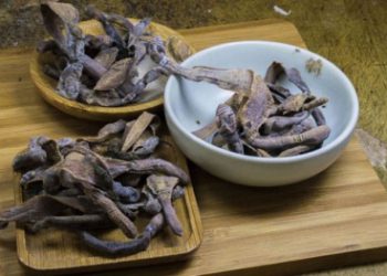 Lan truyền tin giun đất chữa khỏi Covid-19 sẽ bị xử lý nghiêm