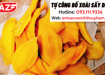 Hướng dẫn tự công bố xoài sấy dẻo nhanh nhất theo quy định pháp luật