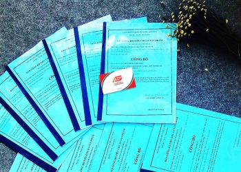 Thủ tục tự công bố mì gói theo đúng quy định pháp luật