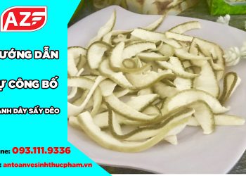 Hướng dẫn làm hồ sơ tự công bố vỏ bưởi sấy dẻo mới nhất 2022