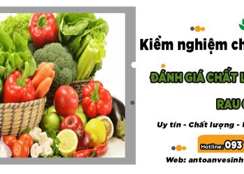 Hướng dẫn kiểm nghiệm chỉ tiêu đánh giá chất lượng rau củ quả