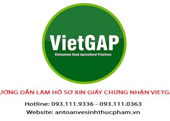 Hướng dẫn làm hồ sơ xin giấy chứng nhận VietGAP