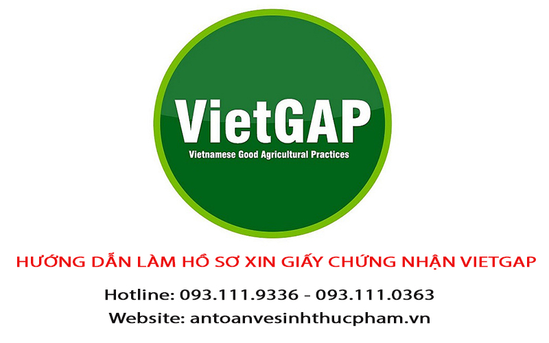 Hướng dẫn làm hồ sơ xin giấy chứng nhận VietGAP