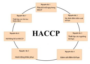 7 NGUYÊN TẮC HACCP TRONG QUẢN LÝ AN TOÀN THỰC PHẨM