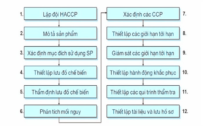 Các bước thực hiện xây dựng HACCP