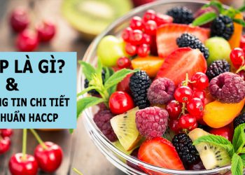 HACCP LÀ GÌ? CÁC THÔNG TIN CHI TIẾT VỀ TIÊU CHUẨN HACCP