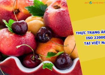 Thực trạng áp dụng ISO 22000 tại Việt Nam: Thuận lợi và Khó khăn