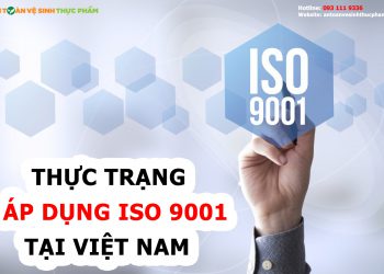 Thực trạng áp dụng ISO 9001 tại Việt Nam: Thuận lợi và Khó khăn