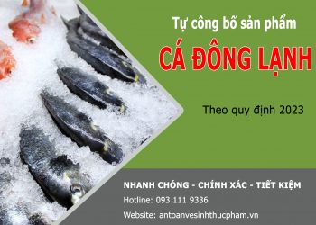 Quy trình tự công bố sản phẩm cá đông lạnh