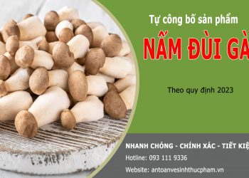Thủ tục tự công bố sản phẩm nấm Đùi Gà năm 2023
