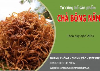 Thủ tục tự công bố sản phẩm chà bông nấm đơn giản nhất