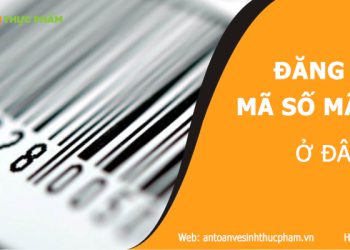 Đăng ký mã số mã vạch ở đâu? chi tiết quy trình và hồ sơ mới nhất