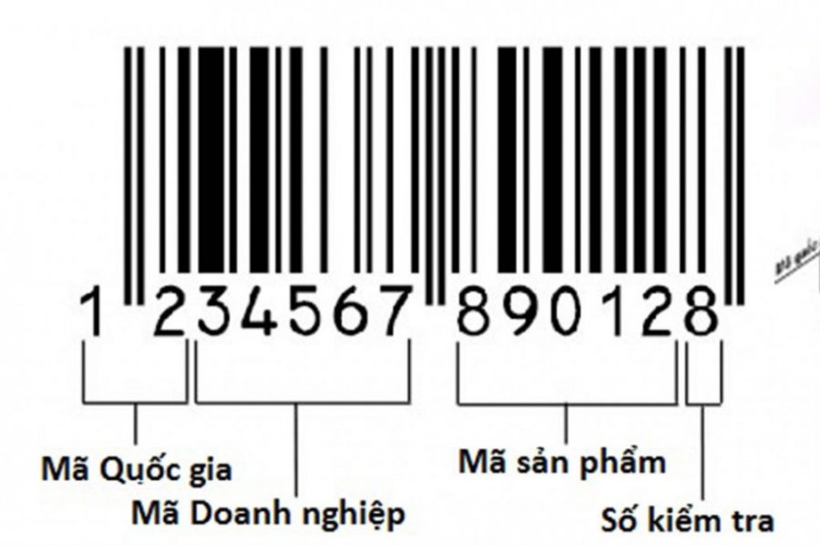 Cấu tạo mã số mã vạch