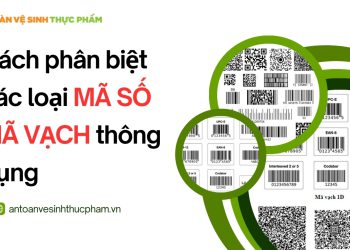 Cách phân biệt các loại mã số mã vạch trong bán hàng