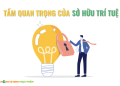 Tầm quan trọng của sở hữu trí tuệ đối với đời sống hiện nay