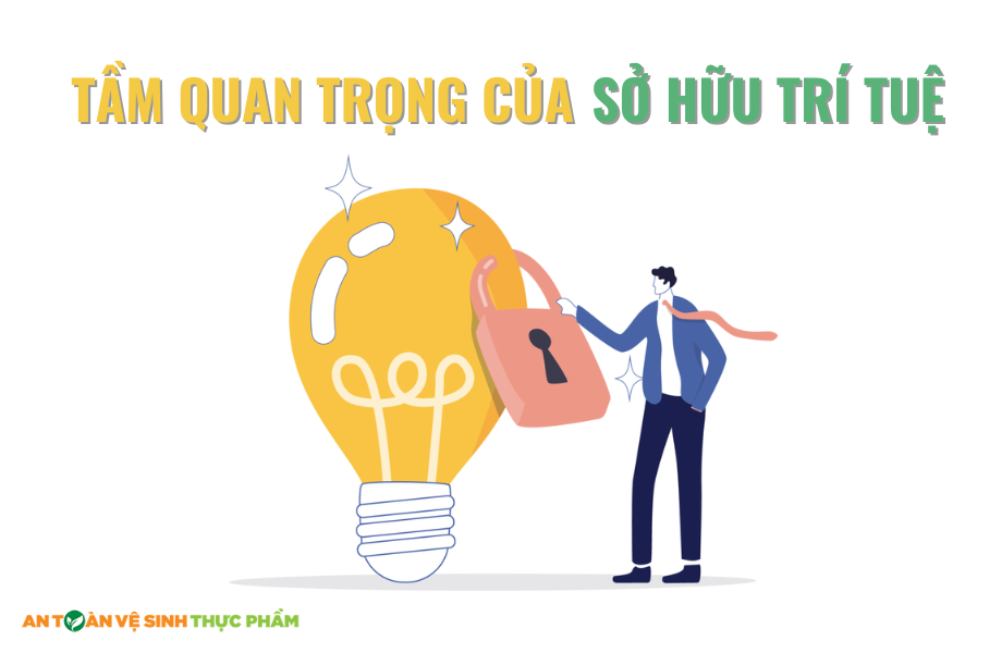 Tầm quan trọng của sở hữu trí tuệ đối với đời sống hiện nay