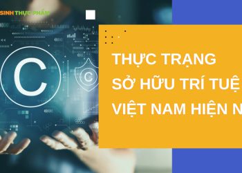Thực trạng sở hữu trí tuệ ở việt nam hiện nay như thế nào?
