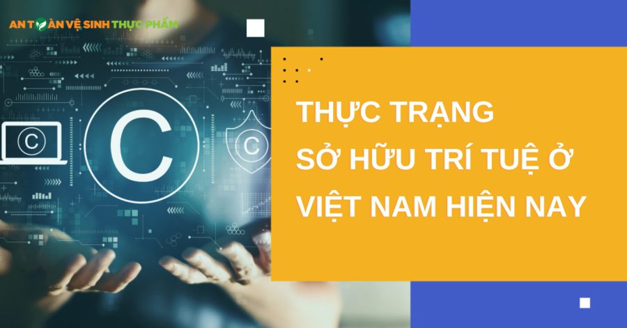 Thực trạng sở hữu trí tuệ ở việt nam hiện nay như thế nào?