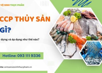 HACCP Thủy sản là gì? Hướng dẫn chi tiết cách xây dựng và áp dụng