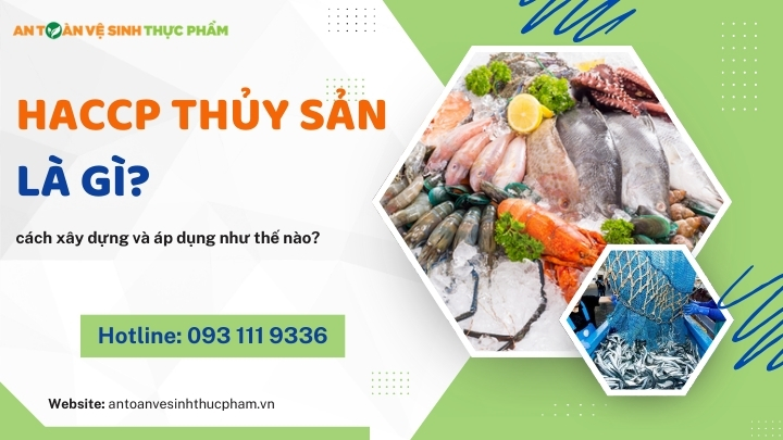 HACCP Thủy sản là gì? Hướng dẫn chi tiết cách xây dựng và áp dụng