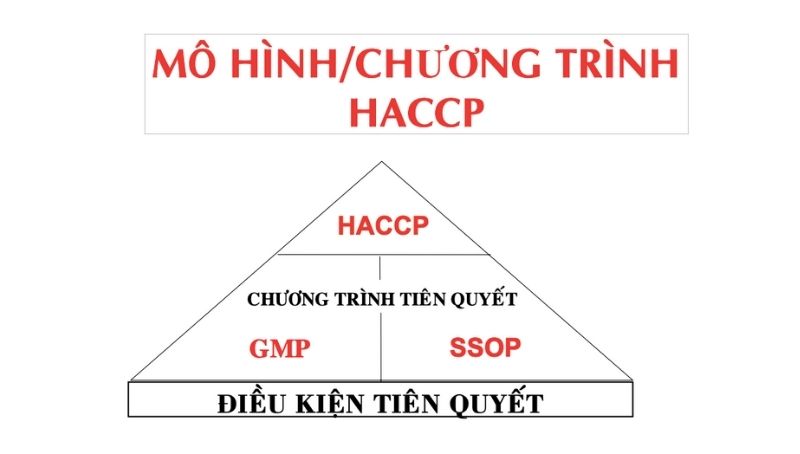 HACCP Thủy sản là gì? Cách xây dựng và áp dụng