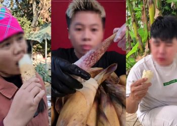 Video ăn măng vầu thu hút nhiều người xem