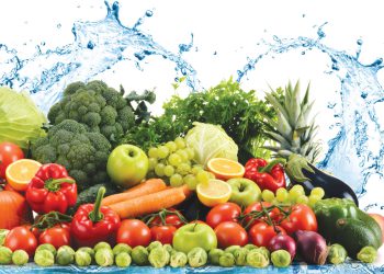 Tập huấn kiến thức an toàn thực phẩm ở đâu?