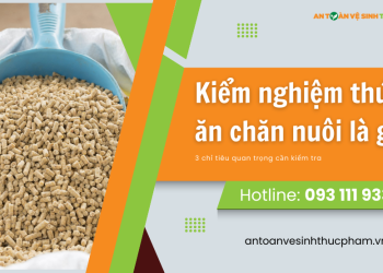 Kiểm nghiệm thức ăn chăn nuôi là gì? 3 chỉ tiêu quan trọng cần kiểm tra