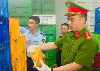 Phát hiện 20 tấn gà ủ muối, nội tạng ‘bẩn’ tại chợ đầu mối gia cầm
