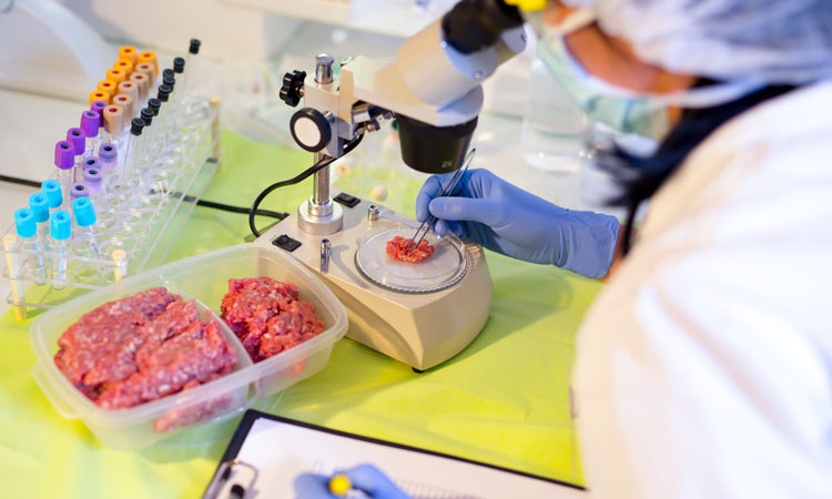 Công ty Cổ phần Khoa học Công nghệ Hoàn Vũ