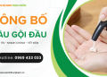 công bố mỹ phẩm dầu gội, dầu xả