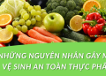 Tìm hiểu các nguyên nhân gây mất vệ sinh an toàn thực phẩm