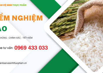 Kiểm nghiệm gạo là gì? Các chỉ tiêu kiểm nghiệm gạo cần đạt