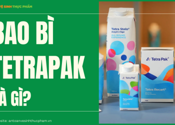 Bao bì Tetrapak là gì? Những ưu và nhược điểm thực tế