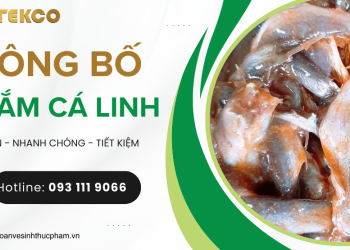 Thủ tục công bố chất lượng mắm cá linh 2026