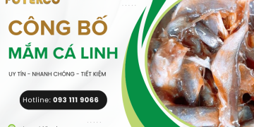Thủ tục công bố chất lượng mắm cá linh 2026