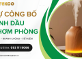 Tự công bố tinh dầu thơm phòng, xông phòng như thế nào?